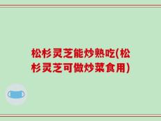 松杉灵芝能炒熟吃(松杉灵芝可做炒菜食用)