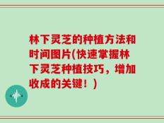 林下灵芝的种植方法和时间图片(快速掌握林下灵芝种植技巧，增加收成的关键！)