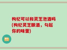 枸杞可以和灵芝泡酒吗(枸杞灵芝酿酒，勾起你的味蕾)