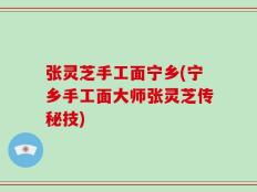 张灵芝手工面宁乡(宁乡手工面大师张灵芝传秘技)