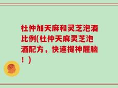 杜仲加天麻和灵芝泡酒比例(杜仲天麻灵芝泡酒配方，快速提神醒脑！)