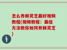怎么养鲜灵芝最好视频教程(视频教程：最佳方法教你如何养鲜灵芝)