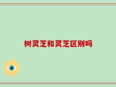 树灵芝和灵芝区别吗