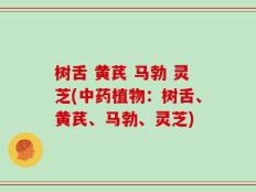 树舌 黄芪 马勃 灵芝(中药植物：树舌、黄芪、马勃、灵芝)