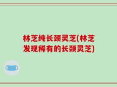 林芝纯长颈灵芝(林芝发现稀有的长颈灵芝)