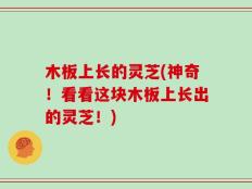 木板上长的灵芝(神奇！看看这块木板上长出的灵芝！)