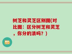 树芝和灵芝区别图(对比图：区分树芝和灵芝，你分的清吗？)