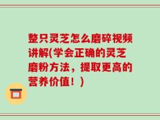 整只灵芝怎么磨碎视频讲解(学会正确的灵芝磨粉方法，提取更高的营养价值！)