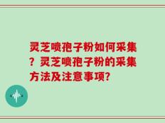 灵芝喷孢子粉如何采集？灵芝喷孢子粉的采集方法及注意事项？