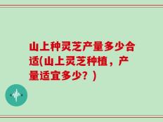山上种灵芝产量多少合适(山上灵芝种植，产量适宜多少？)