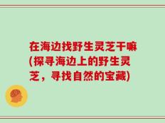 在海边找野生灵芝干嘛(探寻海边上的野生灵芝，寻找自然的宝藏)