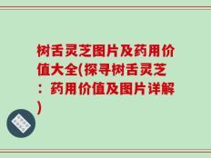 树舌灵芝图片及药用价值大全(探寻树舌灵芝：药用价值及图片详解)