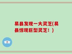 易县发现一大灵芝(易县惊现巨型灵芝！)