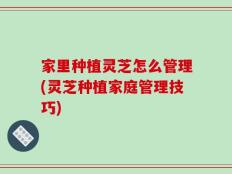 家里种植灵芝怎么管理(灵芝种植家庭管理技巧)