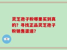 灵芝孢子粉哪里买到真的？寻找正品灵芝孢子粉销售渠道？
