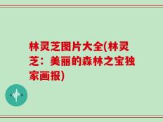 林灵芝图片大全(林灵芝：美丽的森林之宝独家画报)