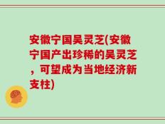 安徽宁国吴灵芝(安徽宁国产出珍稀的吴灵芝，可望成为当地经济新支柱)