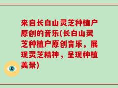 来自长白山灵芝种植户原创的音乐(长白山灵芝种植户原创音乐，展现灵芝精神，呈现种植美景)