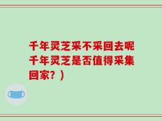 千年灵芝采不采回去呢千年灵芝是否值得采集回家？)