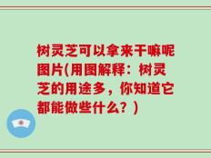 树灵芝可以拿来干嘛呢图片(用图解释：树灵芝的用途多，你知道它都能做些什么？)