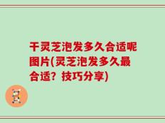 干灵芝泡发多久合适呢图片(灵芝泡发多久最合适？技巧分享)