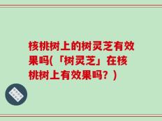 核桃树上的树灵芝有效果吗(「树灵芝」在核桃树上有效果吗？)