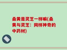 桑黄是灵芝一样嘛(桑黄与灵芝：同样神奇的中药材)