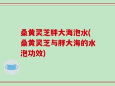 桑黄灵芝胖大海泡水(桑黄灵芝与胖大海的水泡功效)