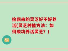 捡回来的灵芝好不好养活(灵芝种植方法：如何成功养活灵芝？)