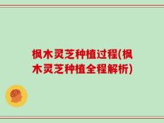 枫木灵芝种植过程(枫木灵芝种植全程解析)