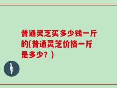 普通灵芝买多少钱一斤的(普通灵芝价格一斤是多少？)