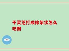 干灵芝打成棉絮状怎么吃图