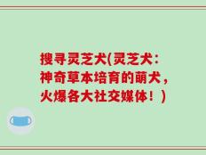 搜寻灵芝犬(灵芝犬：神奇草本培育的萌犬，火爆各大社交媒体！)