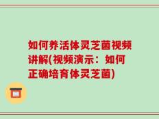 如何养活体灵芝菌视频讲解(视频演示：如何正确培育体灵芝菌)