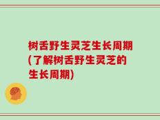 树舌野生灵芝生长周期(了解树舌野生灵芝的生长周期)