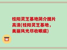 桂阳灵芝基地简介图片高清(桂阳灵芝基地，美丽风光尽收眼底)