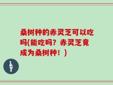 桑树种的赤灵芝可以吃吗(能吃吗？赤灵芝竟成为桑树种！)