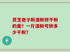 灵芝孢子粉湿粉转干粉的量？一斤湿粉可转多少干粉？