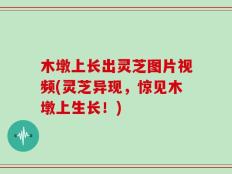 木墩上长出灵芝图片视频(灵芝异现，惊见木墩上生长！)