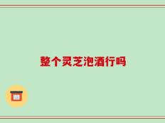 整个灵芝泡酒行吗