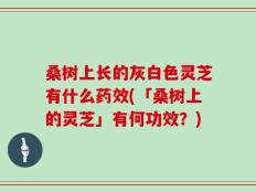 桑树上长的灰白色灵芝有什么药效(「桑树上的灵芝」有何功效？)