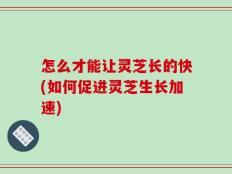 怎么才能让灵芝长的快(如何促进灵芝生长加速)