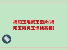 揭阳玉雕灵芝图片(揭阳玉雕灵芝惊艳亮相)