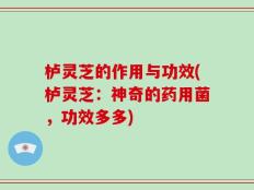 栌灵芝的作用与功效(栌灵芝：神奇的药用菌，功效多多)