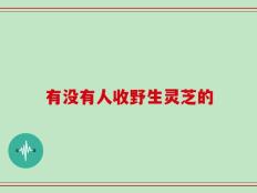 有没有人收野生灵芝的