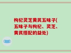 枸杞灵芝黄芪五味子(五味子与枸杞、灵芝、黄芪搭配的益处)