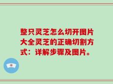 整只灵芝怎么切开图片大全灵芝的正确切割方式：详解步骤及图片。