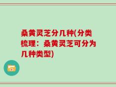 桑黄灵芝分几种(分类梳理：桑黄灵芝可分为几种类型)
