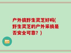 户外搞野生灵芝好吗(野生灵芝的户外采摘是否安全可靠？)