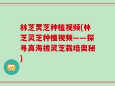林芝灵芝种植视频(林芝灵芝种植视频——探寻高海拔灵芝栽培奥秘)